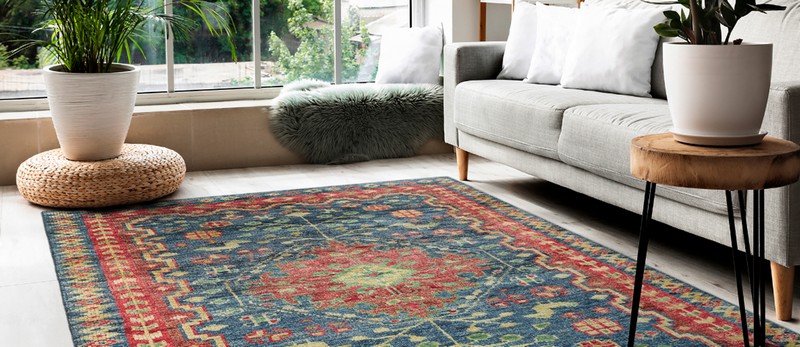 Indoor- outdoor Rugs for Living Area